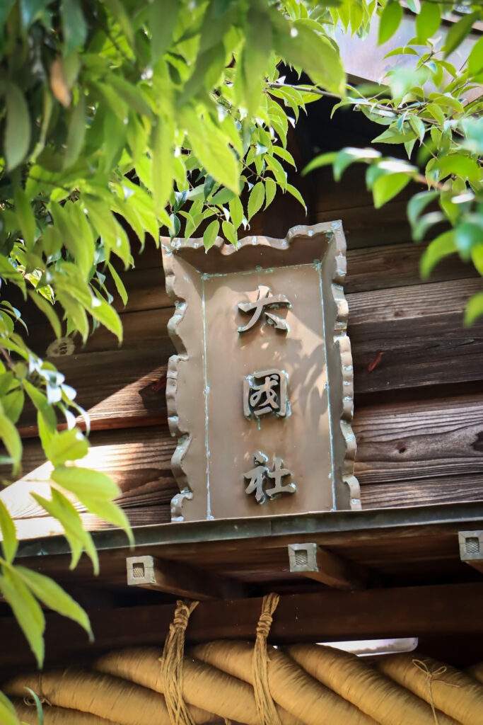 大分市古国府にある「大国社」の社殿を正面から捉えた一枚。木造の建物に掲げられた「大國社」の額が印象的で、太い注連縄が神聖な空気を醸し出す。緑の葉が画面の一部を覆い、自然に包まれた静謐な神社の佇まいが感じられる。