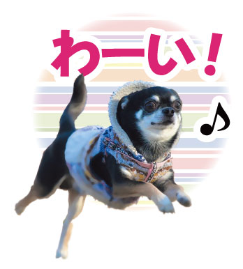 チワワの諭吉くんがはしゃいで走る様子。わーい!というセリフが書かれていて、音符マークで楽しそうな感じを表現しています