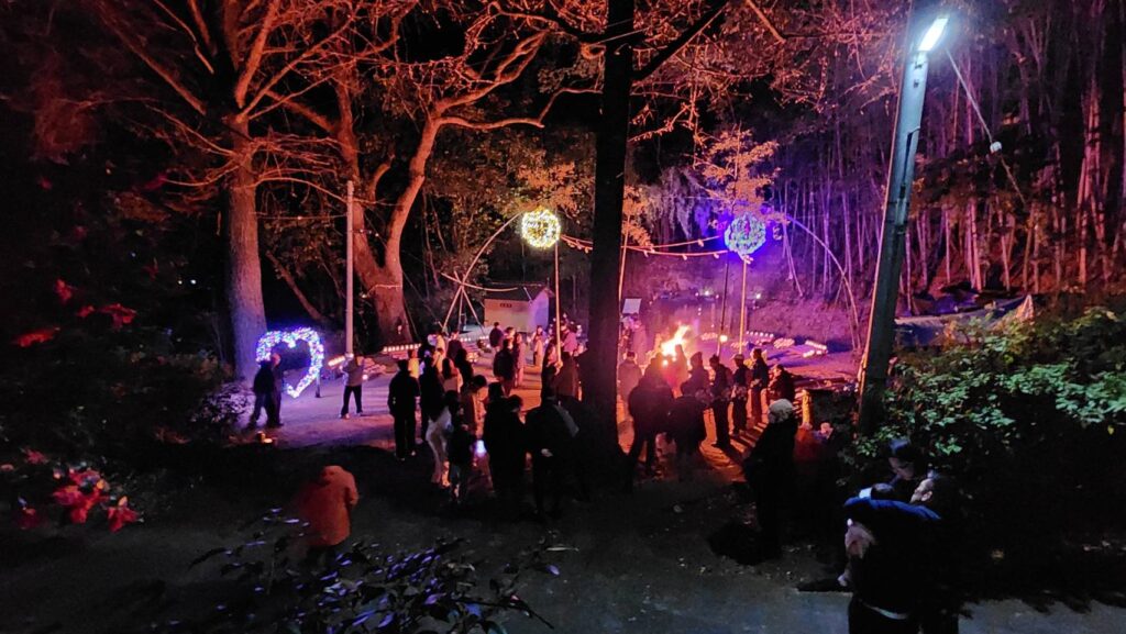 南太平寺・杵築社の竹灯籠まつりと初詣の夜、森の中で灯りに包まれた参加者たちの様子