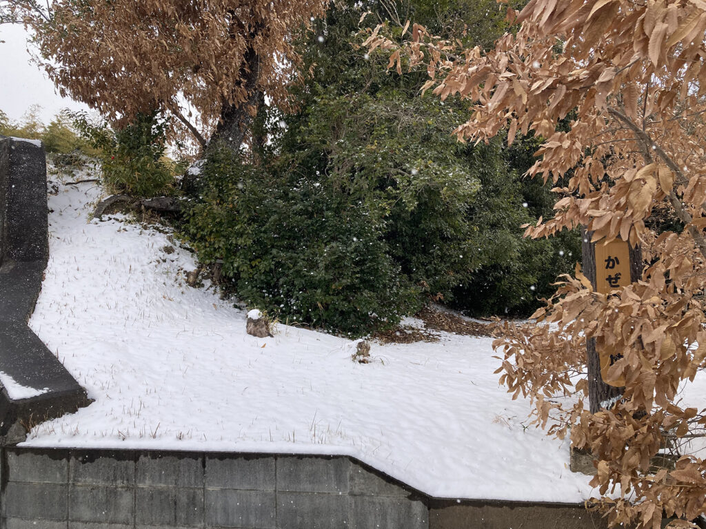 千人塚古墳（後円部の一部）の冬の様子。地面や木々の葉に雪が積もり、緑と茶色の葉が混ざる中に白い雪が際立っている。脇には木製の案内板が見え、静かな山間の古墳に季節の寒さと落ち着いた雰囲気が漂う。